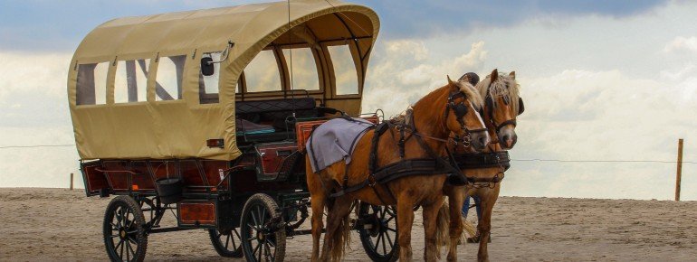 Auf einer Kutschfahrt die Insel erkunden