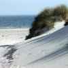 Feinster, weißer Sand in den Dünen am Nordstrand