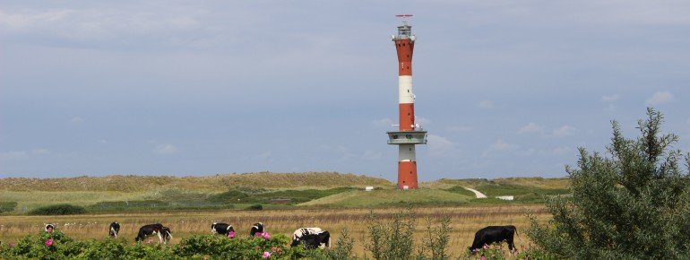 Der Neue Leuchtturm