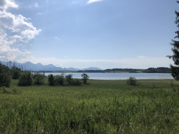 Der Bannwaldsee liegt bei Füssen im Allgäu.