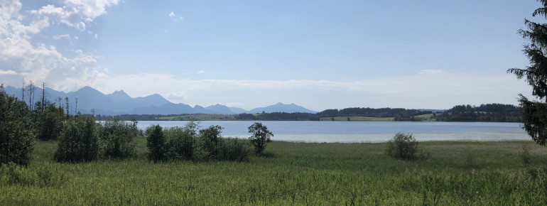 Der Bannwaldsee liegt bei Füssen im Allgäu.
