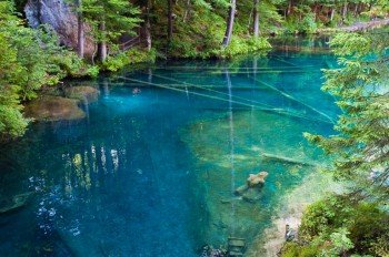 Der glasklare See mit seiner tiefblauen Färbung.
