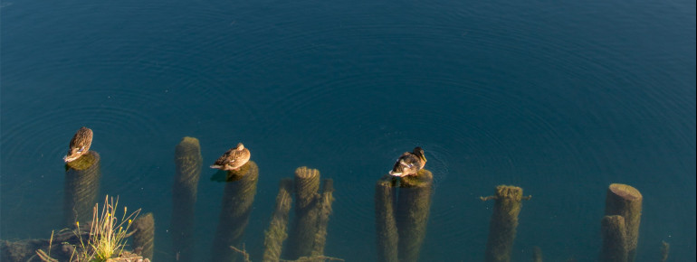 Das klare Wasser des Sees lädt zum Tauchen ein.