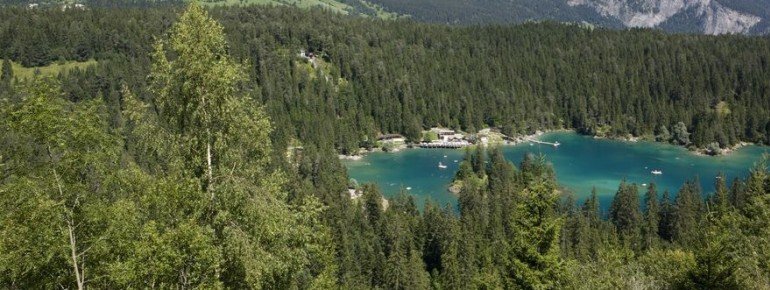 Der See liegt mitten im dichten Tannenwald