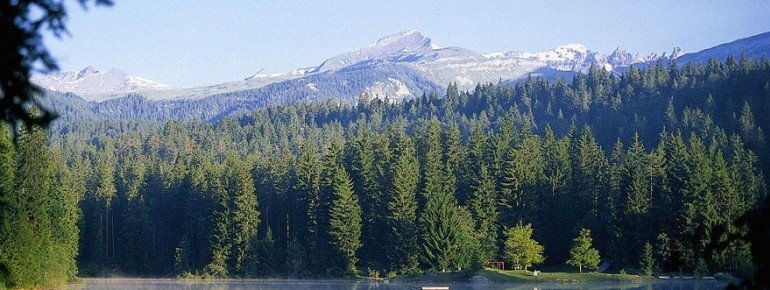 Der Caumasee liegt idyllisch in der Graubündner Bergwelt
