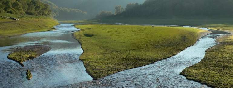 Äußere Flussläufer der Eder