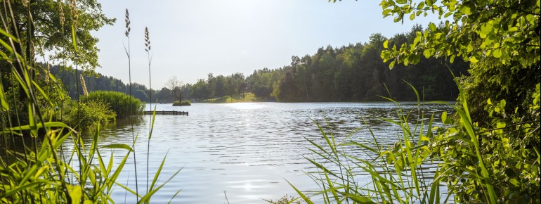 Idylle pur an vielen Stellen des Sees.