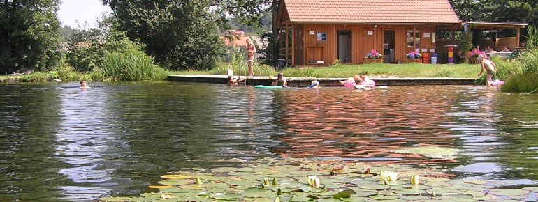 Nicht nur Kinder und Familien fühlen sich am Erholungsteich pudelwohl
