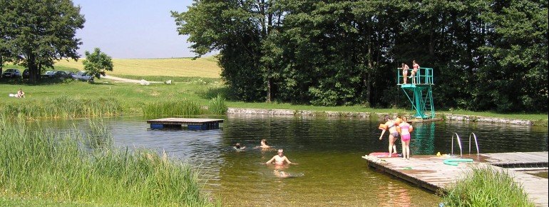 Sprungturm, Insel, Holzstege - Der Erholungsteich braucht sich mit seinem Angebot sicher nicht vor größeren Badeseen verstecken