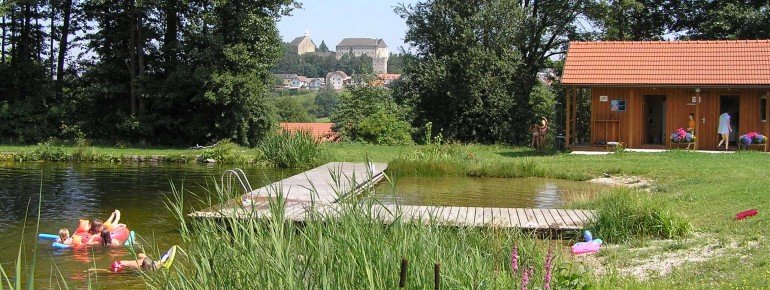 Wenn Du am Badesee nach Osten siehst, kannst Du die Marktgemeinde Akbrechtsberg an der Großen Krems durch die Bäume hindurch erkennen