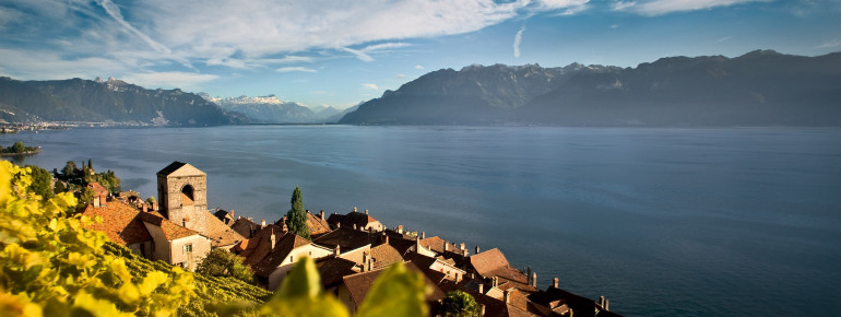 Die Weinterrassen von St. Saphorin (Lavaux) am Genfer See gehören zum UNESCO-Welterbe.