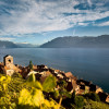 Die Weinterrassen von St. Saphorin (Lavaux) am Genfer See gehören zum UNESCO-Welterbe.