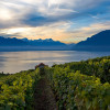 Von den Weinbergen in Rivanz hast du einen tollen Blick über das obere Seebecken des Genfer Sees und die Dents de Morcles.