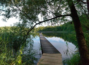 Ruhige Plätze am Griessee