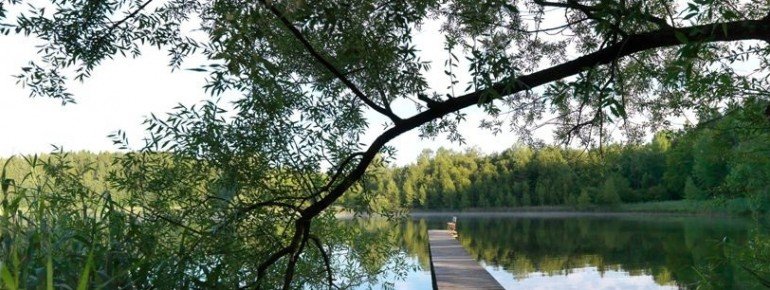 Ruhige Plätze am Griessee