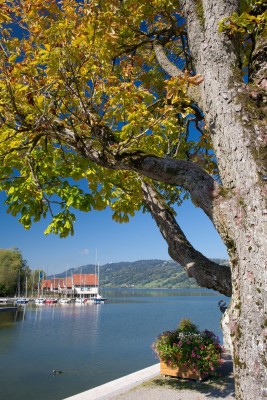 Rund um den See lässt es sich auch toll am Ufer entlang wandern.