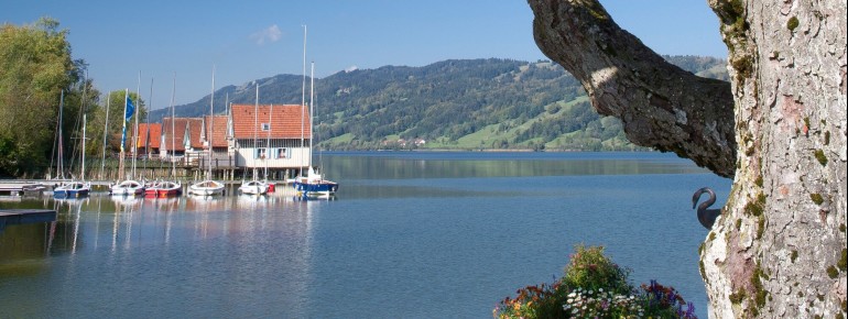 Rund um den See lässt es sich auch toll am Ufer entlang wandern.