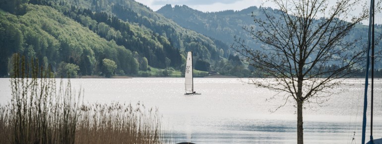 Segelboote sind einige unterwegs auf dem Großen Alpsee bei Immenstadt.