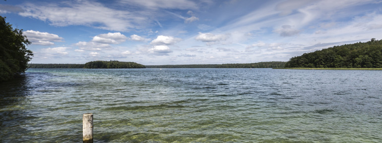Die Sichttiefe im klaren Stechlinsee beträgt bis zu 11 Meter.