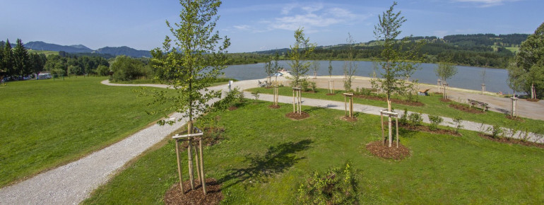 Am Grüntensee gibt es eine große Liegewiese.