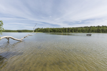 Der Haussee ist ein kleiner Natursee bei Himmelpfort.