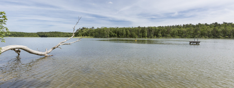 Der Haussee ist ein kleiner Natursee bei Himmelpfort.