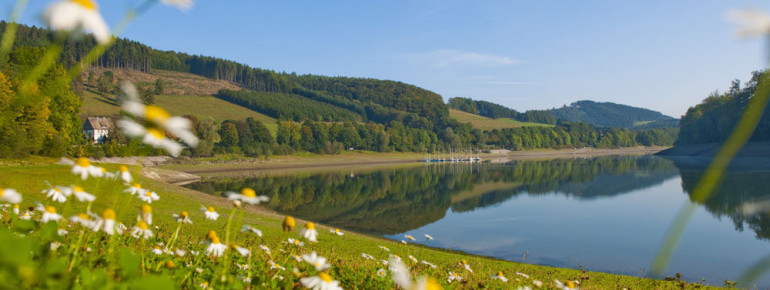 Das Ufer des Hennesee.