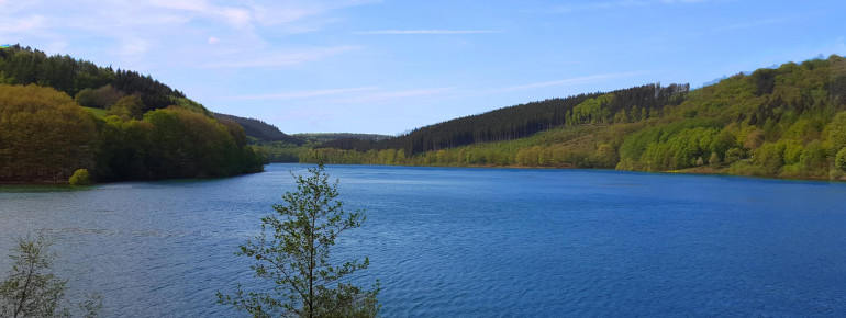 Blick auf den Hennesee.