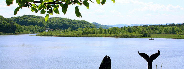 Der Heratinger See liegt im Ibmer Moor.