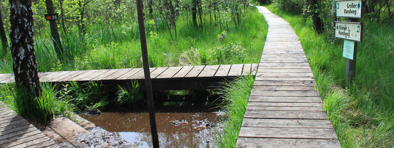 Der Moorlehrpfad führt durch das Naturschutzgebiet des Ibmer Moors.