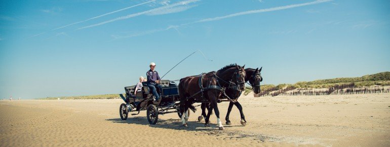 Pferdekutschen und Fahrräder ersetzen in Juist den motorisierten Verkehr