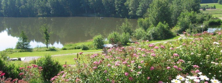 Gepflegte Liegewiese