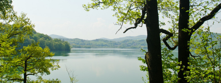 Idyllische Aussichten kannst du während einer Wandertour rund um den See genießen.