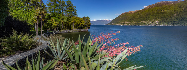 Auf den Brissago Inseln gibt es einen Botanischen Garten.