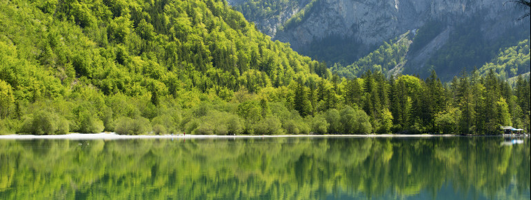 Ein Rundgang um den See dauert ca. 45 Minuten.