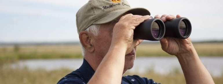 Der See ist ein beliebter Ort für Vogelbeobachter