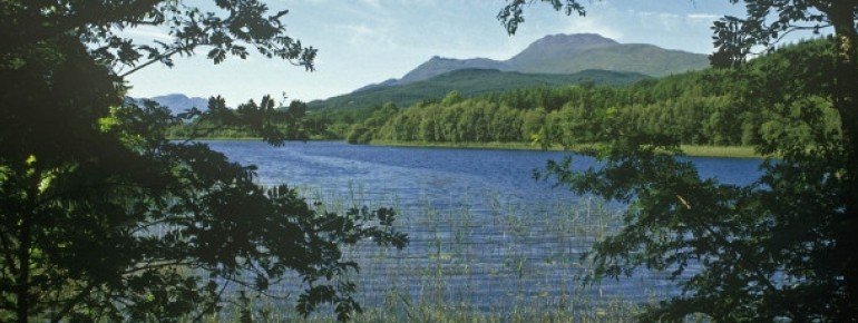 Auf einer Vielzahl an Inseln herrscht große Artenvielfalt.