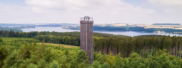 Der Möhneseetrum steht im Naturpark Arnsberger Wald.