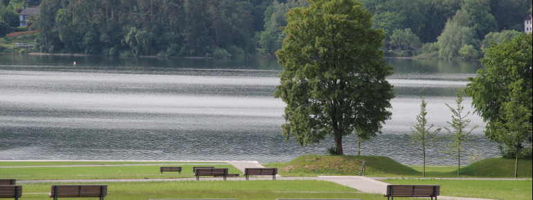 Am Möhnesee laden 40km Uferlänge zum Sonnenbaden, Wandern und Radfahren ein.