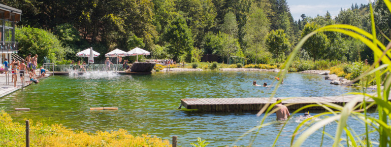 Die Reinigung des Wasser erfolgt über einen Regenerationsteich mit Kiesfilter.