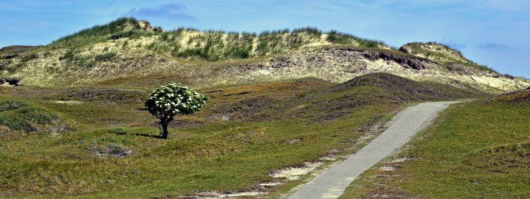 Über die Insel führen verschiedene Wander- und Radwege