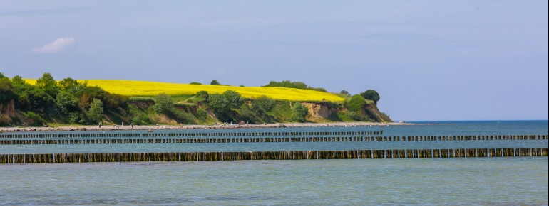 Die Steilküste bei Redewisch ist bis zu 35 Meter hoch.