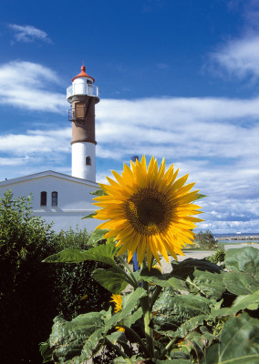Der Leuchtturm von Timmendorf wurde 1871 in Betrieb genommen und ist bis heute für die zunehmenden Schiffsbewegungen von großer Wichtigkeit.