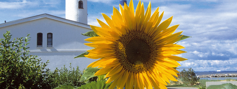 Der Leuchtturm von Timmendorf wurde 1871 in Betrieb genommen und ist bis heute für die zunehmenden Schiffsbewegungen von großer Wichtigkeit.