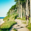 Direkt hinter dem Strand lädt der geheimnisvolle Gespensterwald zu schattigen Wanderungen entlang der Steilküste ein.