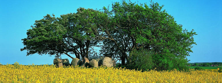 Ein Großsteingrab bei Rerik.