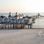 Die Seebrücke Sellin ragt 394 Meter in die Ostsee und ist ein beliebter Aussichtspunkt für Besucher.