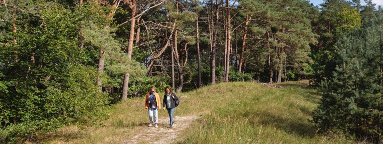 Hinter dem Strand von Zinnowitz schließt sich ein Küstenwald aus Buchen und Kiefern an.