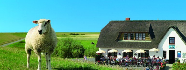 Bei einem Café Besuch auf der Insel sollte das nordfriesische Nationalgetränk "Pharisäer" probiert werden.