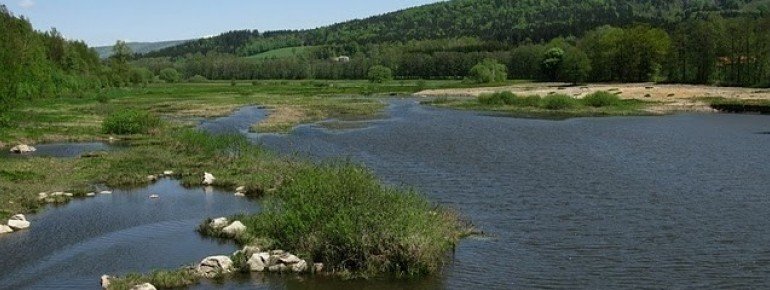 Zulauf am Perlsee